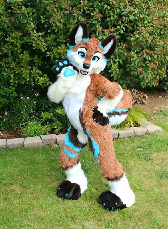 Husky Fox Dog Cartoon Doll Costume Walking Doll Beast Costume