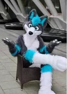 Husky Fox Dog Cartoon Doll Costume Walking Doll Beast Costume