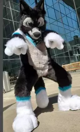 Husky Fox Dog Cartoon Doll Costume Walking Doll Beast Costume