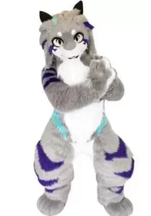 Husky Fox Dog Cartoon Doll Costume Walking Doll Beast Costume
